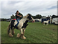 Riding bareback in the paddock, Kenilworth Horse Fair