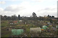 Allotments, Twyford