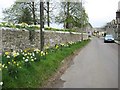 Country road in Kingston