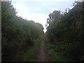 Towards Wilbarston airfield