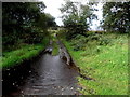 Flooded lane, Tattykeel