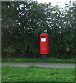 Elizabeth II postbox on Stainsacre Lane, Whitby