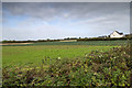 R8281 : Farmland west of minor road by David P Howard