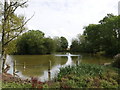 Duck pond on Staverton Farm