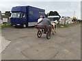 Driving at Kenilworth Horse Fair