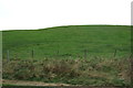 Hillside grazing off the A65