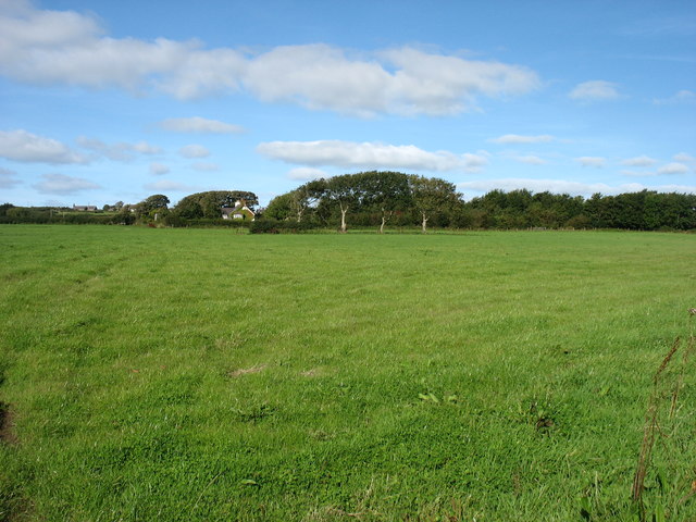 Farmland near Newborough (Niwbwrch)