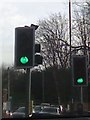 UK Toucan Crossing