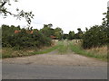 TM1387 : Entrance to Grange Farm by Geographer