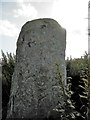 NO3638 : Standing Stone of Balkello by Douglas Nelson