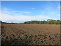 Field at Joshua Farm