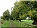 Track in Gisburne Park