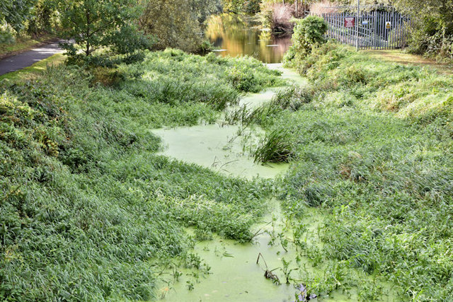 Disused Lagan canal, Lambeg (September 2016)