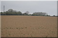 Farmland by the Cornish Main Line