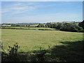 Valley below Lidham Hill