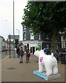 Snowdogs by the Sea: #43 - The Snowdog