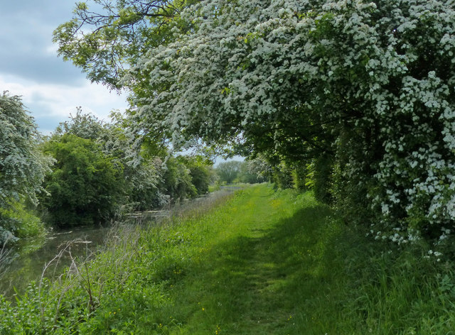 Cuckoo Way heading west along the Chesterfield Canal