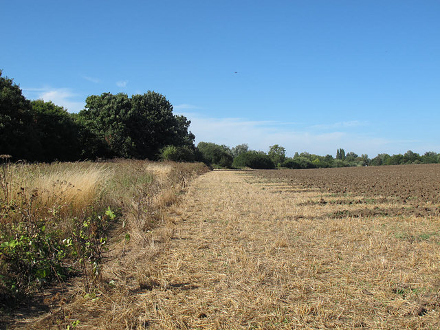 A dry field