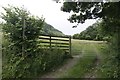 Footpath through the Field