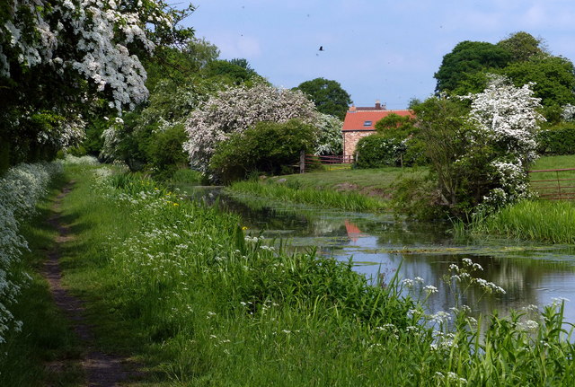 Chesterfield Canal at Misterton