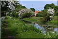 Chesterfield Canal at Misterton