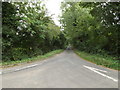 TM1193 : Barham's Lane, Bunwell by Geographer
