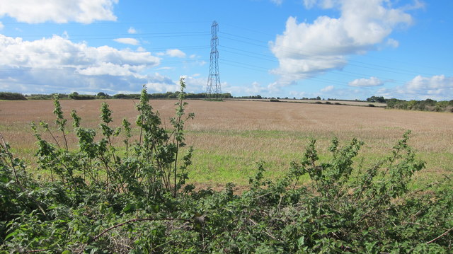 Arable field with pylon and nettles