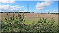 Arable field with pylon and nettles