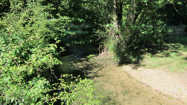 Looking upstream on the Broadmead Brook