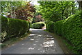 Sussex Border Path