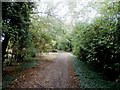 Green Lane near Wadworth