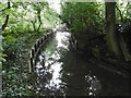 The Dollis Brook at Whetstone Stray Open Space