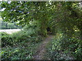 Bridleway from West Road commences the climb up Newtimber Hill