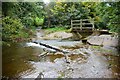 Westermill Farm Ford