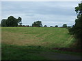 Farmland near Gleadale House