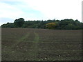 Farmland towards Starling Bridge Wood