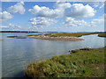 Shell beach, Hythe Spartina Marsh Nature Reserve