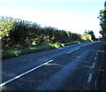 A449 towards Old Gore, Herefordshire