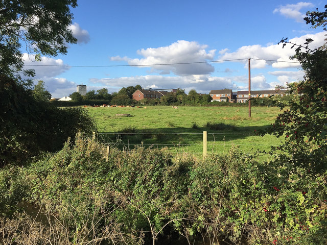 Suburban farmland, Henley Green, Coventry