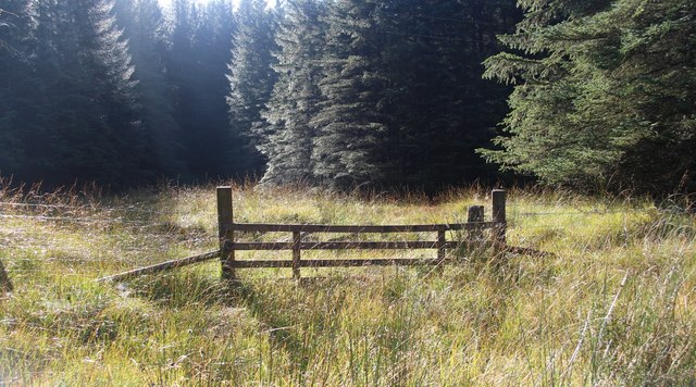 Forest gate in Glen Orchy