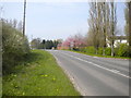 Southwell Road near Oxton Hill Farm