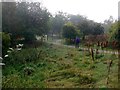 The start of the path to the Curling Pond in Grantown