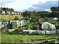 Allotments, Settle