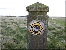 SO5977 : Sign - The Shropshire Way by James Emmans