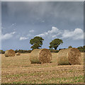 R8499 : Straw bales in a field by David P Howard