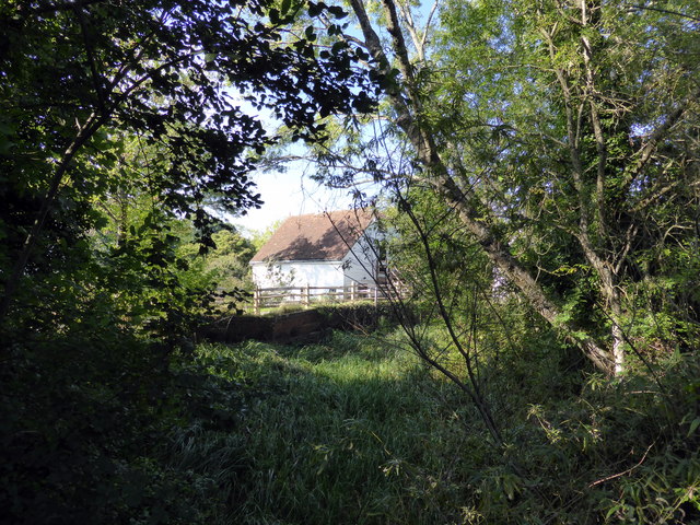 Woods Mill, Sussex Wildlife Trust