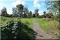 Path along the River Soar