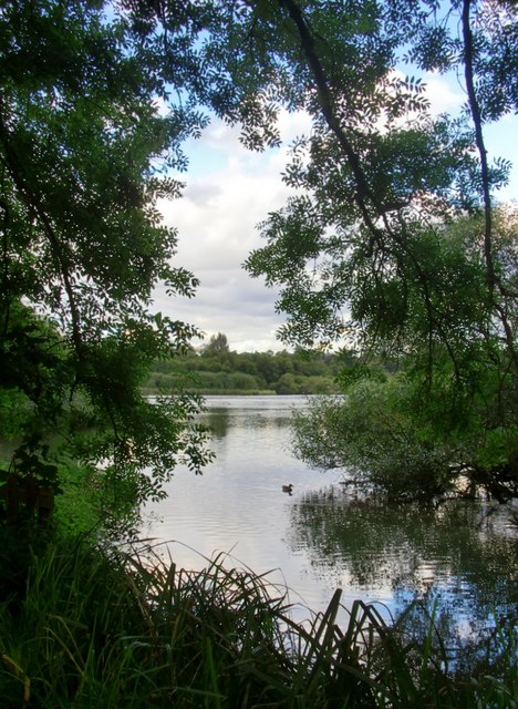 Old Alresford Pond © Stefan Czapski Cc-by-sa/2.0 :: Geograph Britain ...