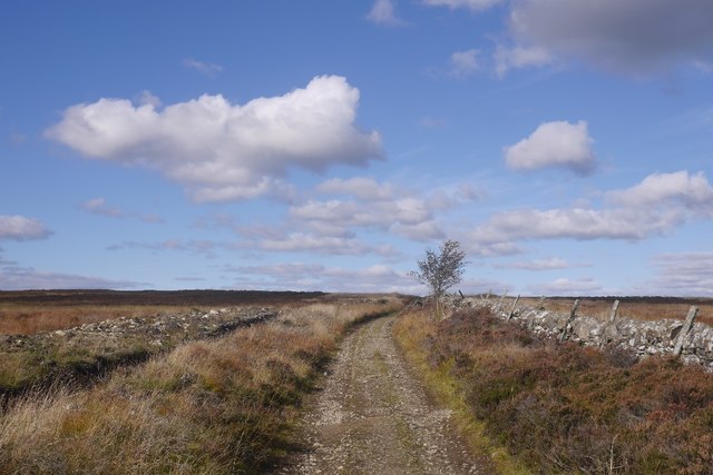 drove-road-richard-webb-geograph-britain-and-ireland