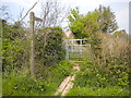 Gate south of New Hall Farm